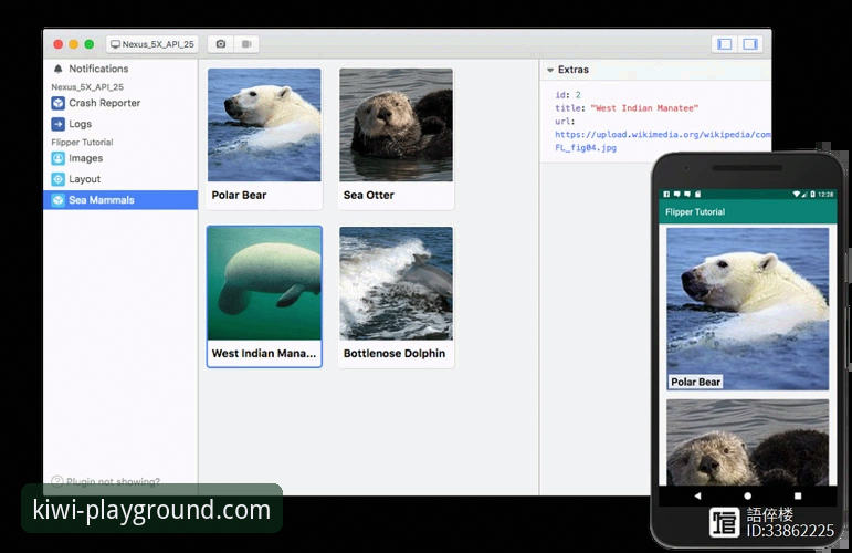 奇异果娱乐平台最新版深度解析：为何v1.2.0版本成为移动娱乐必备之选