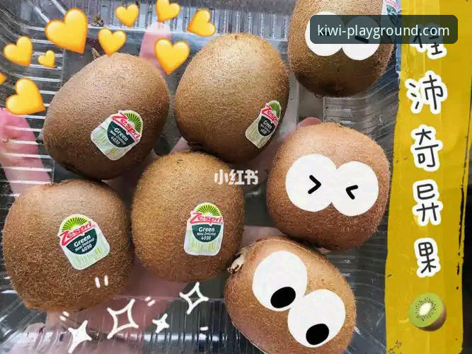 三年资深用户亲测：奇异果娱乐入口官网的稳定下载与创新体验心得